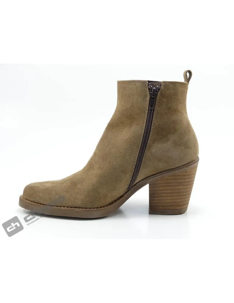 Botines Taupe Patricia Miller 5142